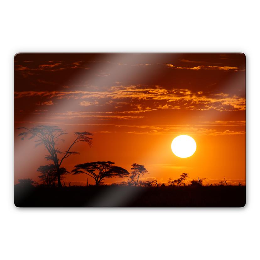 Tableau en verre - Steppe africaine