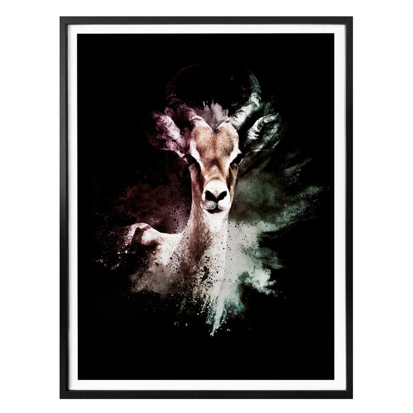 Plakat - Hugonnard - Wild Explosion: Antilope