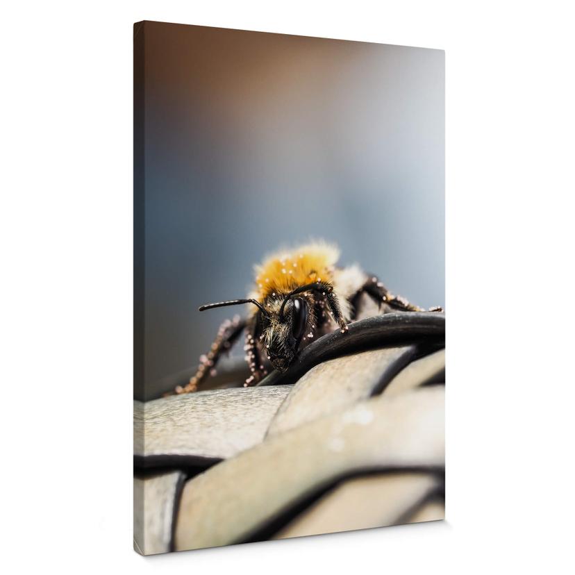 Lienzo Marrón - Macro abeja