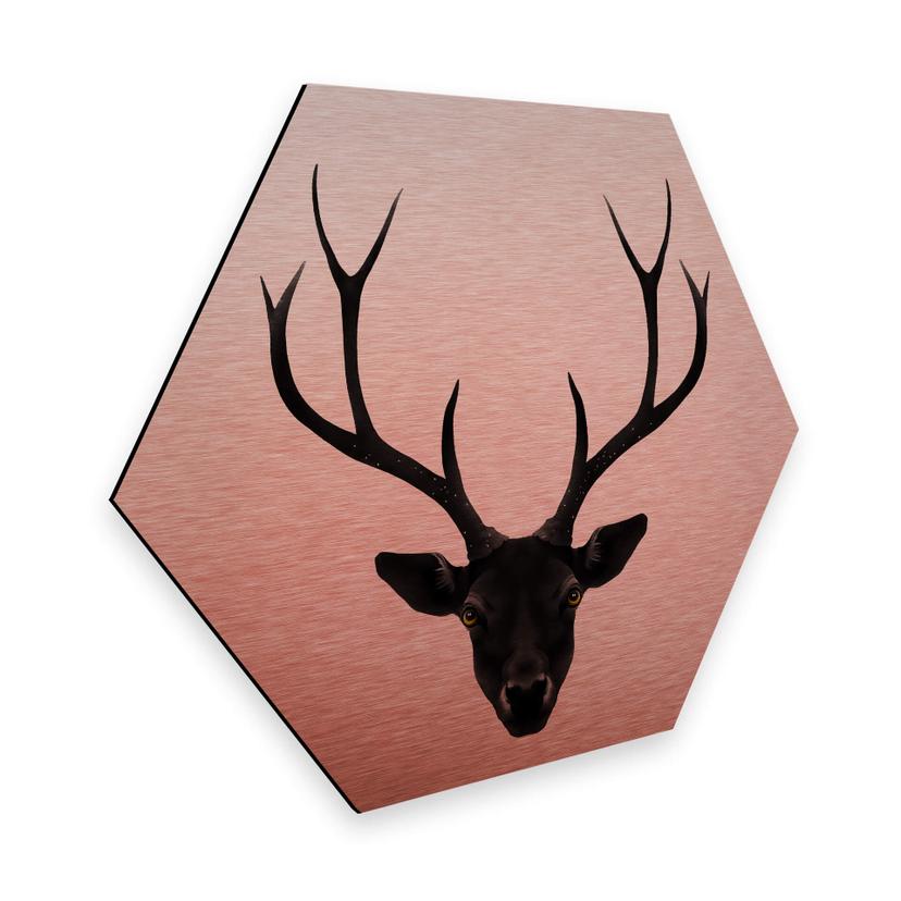 Hexagone - Tableau sur alu-Dibond - Effet cuivré - Ireland - Le cerf noir