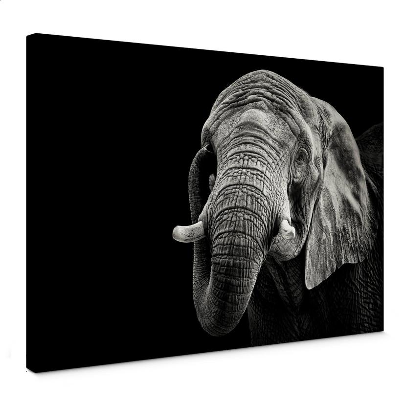 Canvasbillede - Meermann - Elefanten