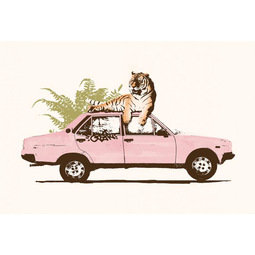 Fotomurale Tigre su auto rosa - Bodart