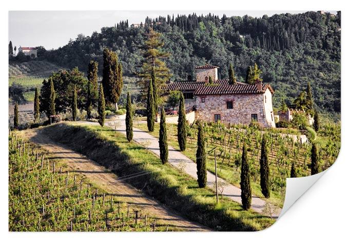 Poster autocollant - W - Domaine Viticole