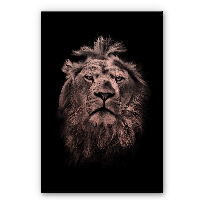 Dibond Schilderij met koper effect Lion