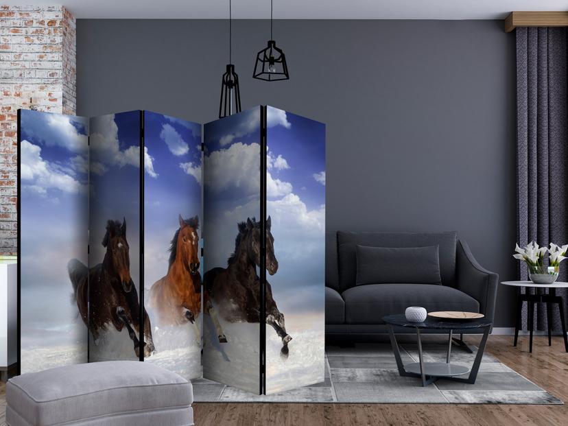 Divisorio - Galoppo nella neve , 5 pezzi - 225x172 cm