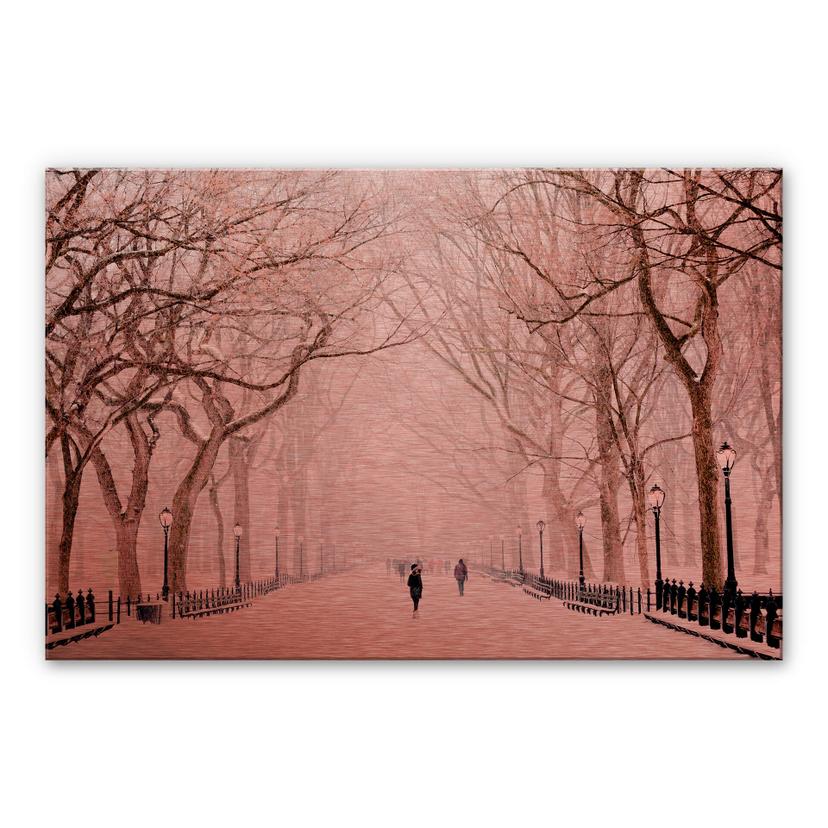 Tableau en alu-Dibond - Effet cuivre- L'hiver à Central Park