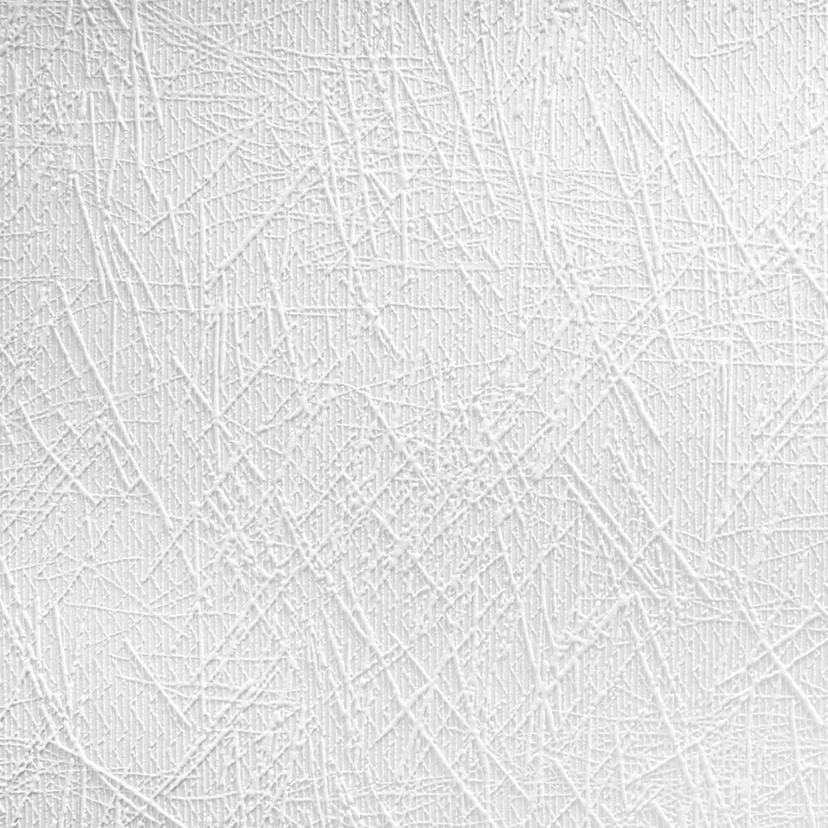 Papier peint intissé couvrant A.S. Création Meistervlies Pro Protect 2 blanc