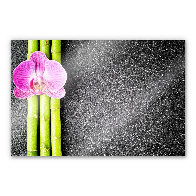 Tableau en verre acrylique - Orchid and Bamboo