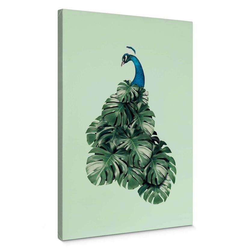 Lienzo Loose - Monstera Bird