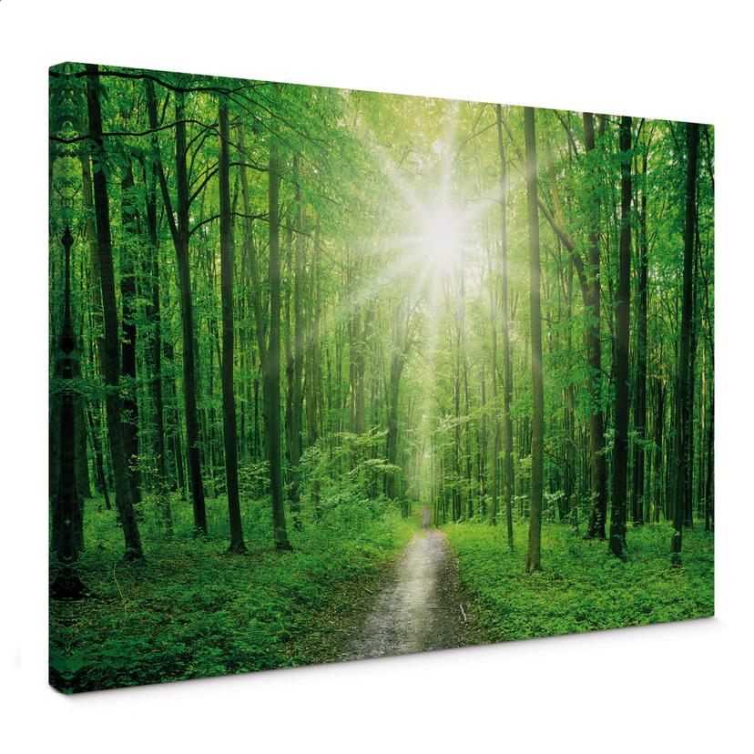 Tableau en toile Sunny Forest 01