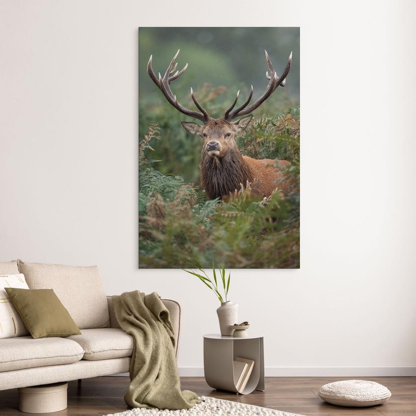 Stampe per pareti - Guardiano della foresta - van Duijn - Alluminio dibond