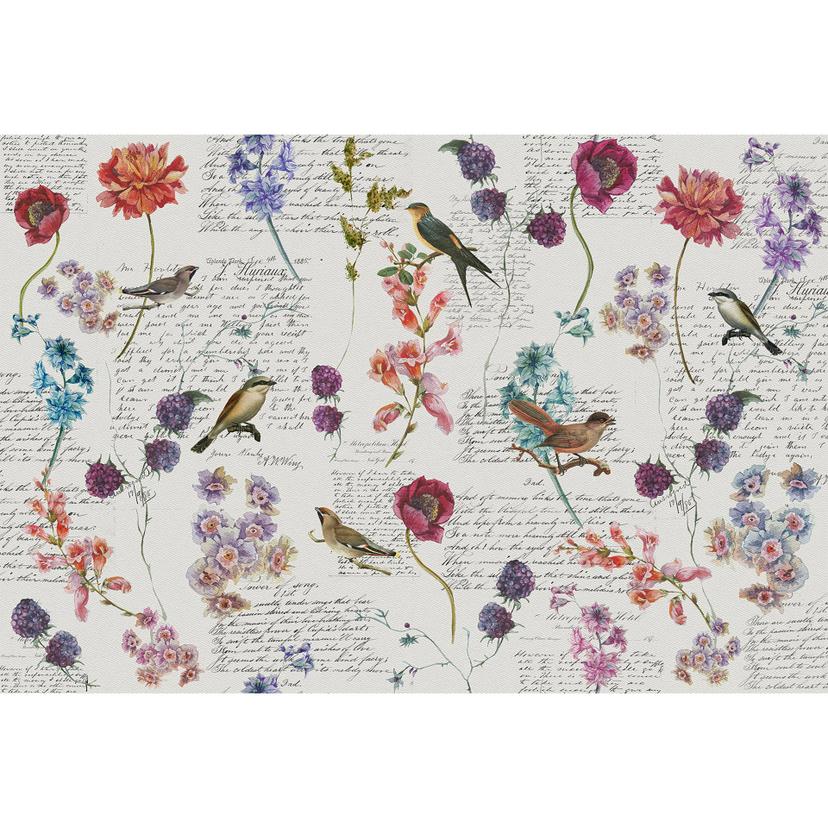 Architects Paper Fotomurale - Atelier 47 Bird Poetry