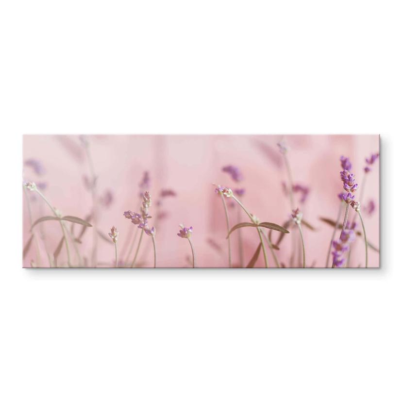 Akrylbillede Delikat lavendel - Panorama