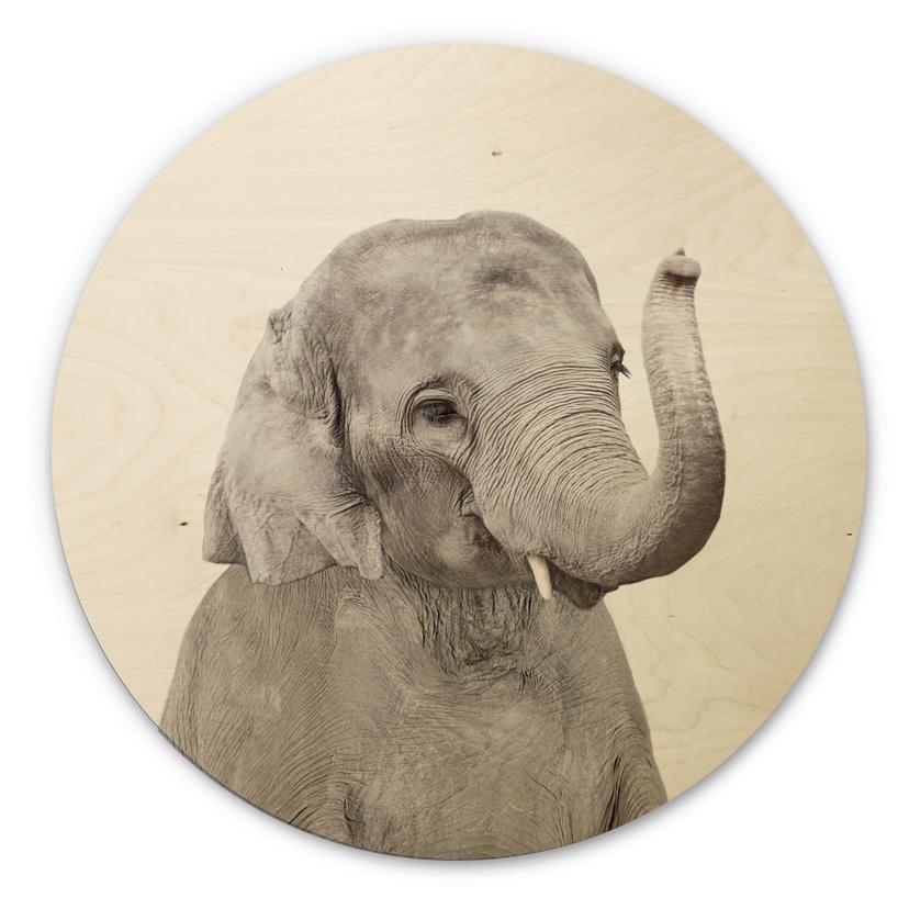 Tableau sur bois Sisi & Seb - Bébé éléphant - Rond