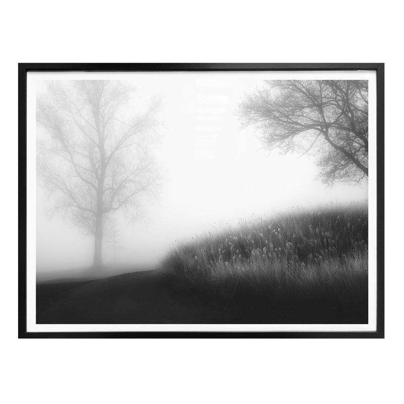 Póster Huybrighs - Niebla por la mañana
