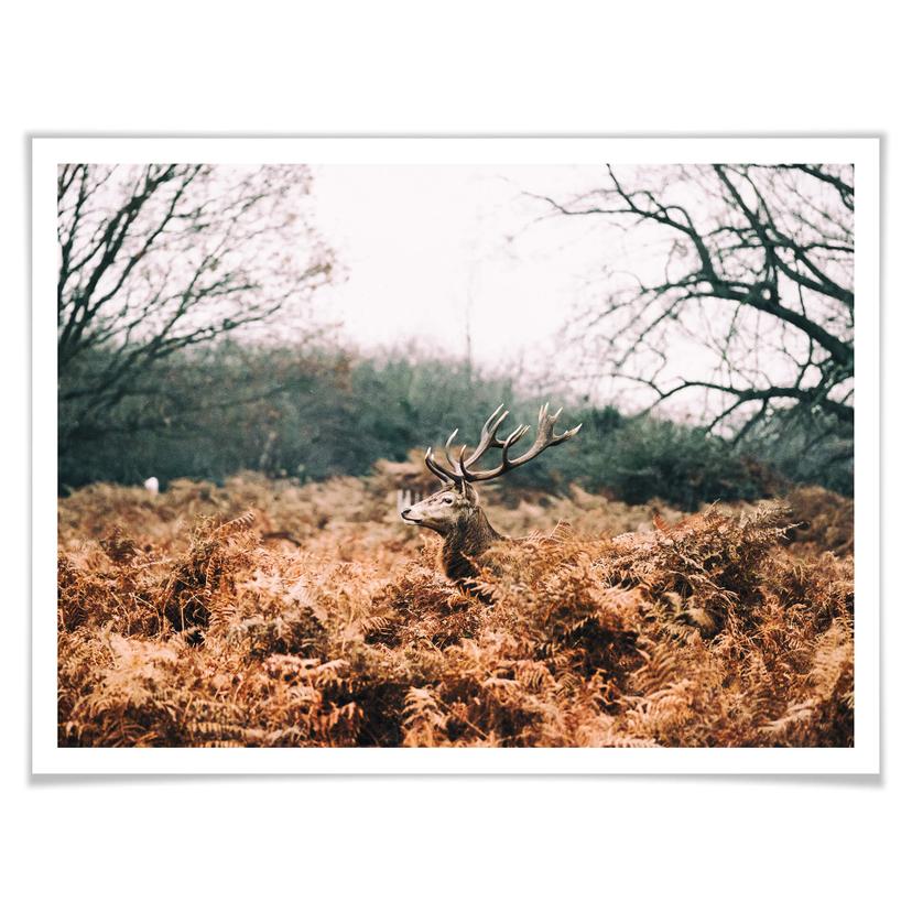 Poster Dans la forêt