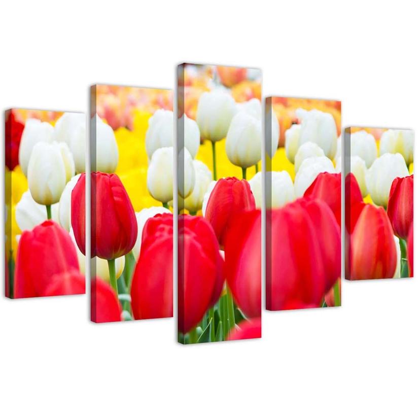 5 stykke lærredstryk Tulipan rød hvid