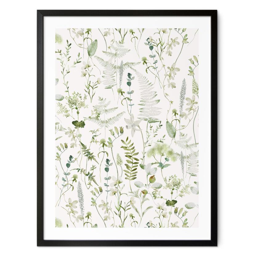 Plakat Urter og vilde blomster - UN Designs