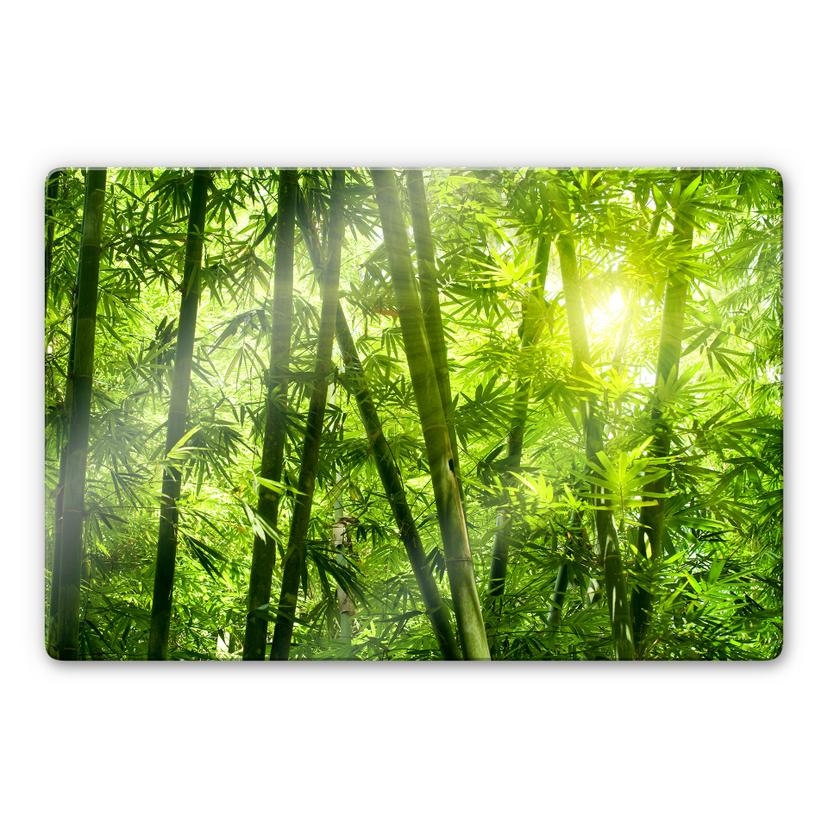 Tableau en verre - Rayon de soleil dans la forêt de bambou