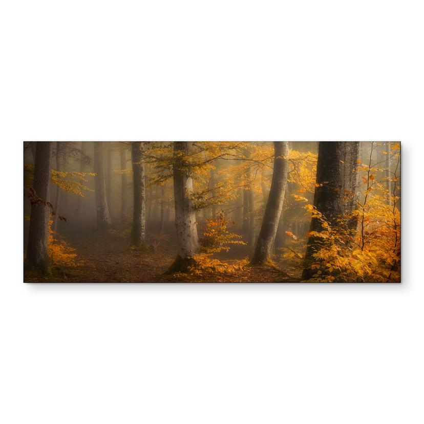 Fototapet Gyldne blade i en tåget skov - Maier Panorama – print på aluminium