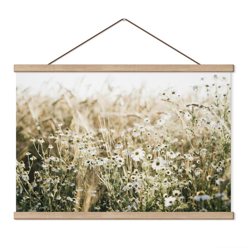Textil poster Sommaräng med kamomill - Annie