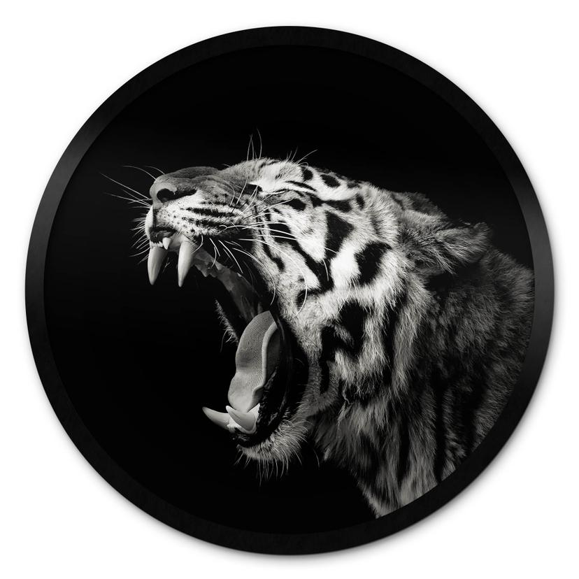Plakat Meermann - Tiger