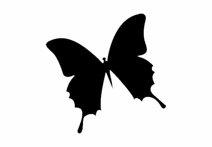 Effet Verre Dépoli: Papillon