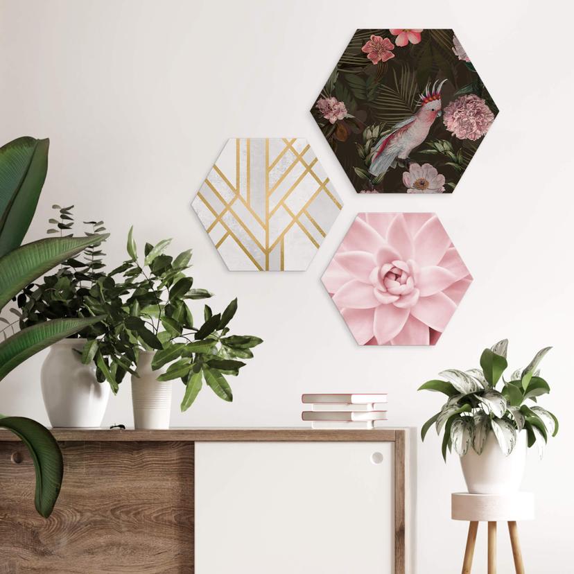 Esagoni Alu-Dibond UN Designs - Tropici