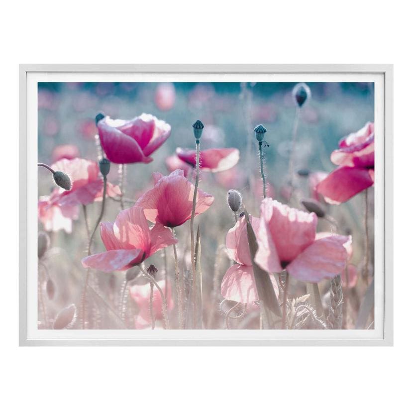 Póster Delgado - Pradera de amapolas