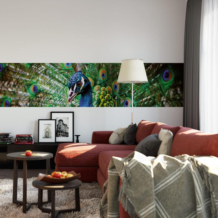 Fototapet Beautiful Peacock - Panorama - 48x260 cm