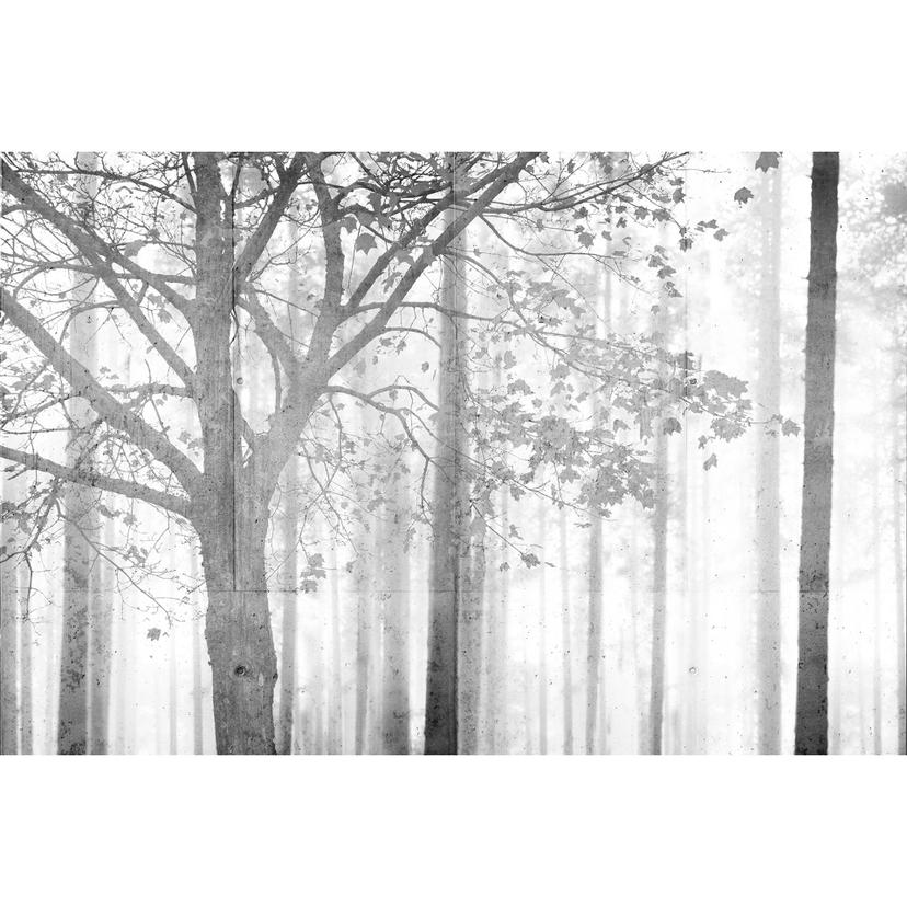 Architects Paper Fotomurale - Atelier 47 Foresta