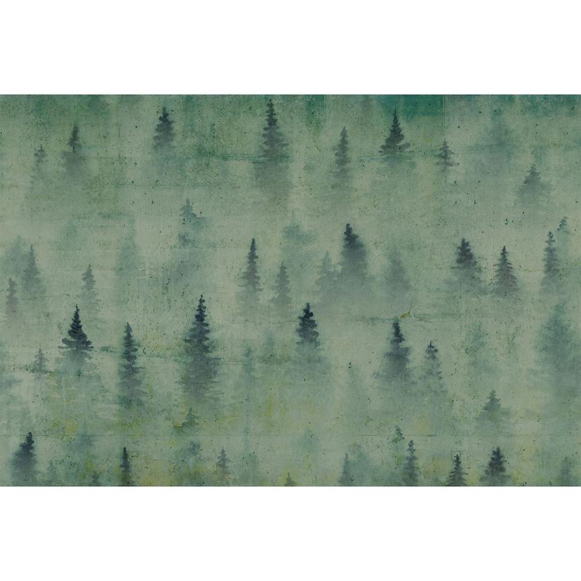 Architects Paper Fotomurale - Atelier 47 Foresta di conifere