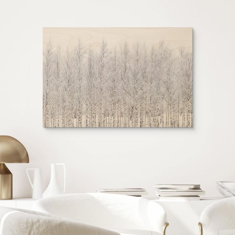 Stampa su legno di una foresta di betulle in inverno - EMELIEmaria