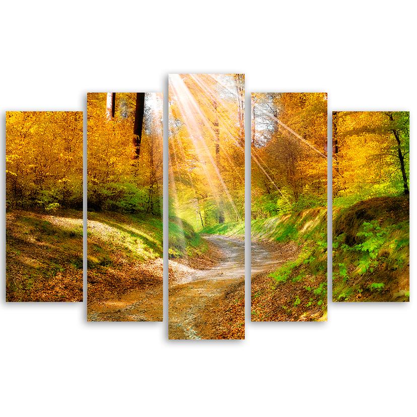 Stampa su tela 5 pezzi Foresta Autunno Natura