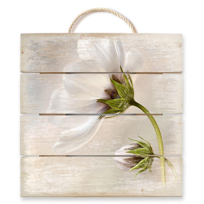 Stampa su legno Disher – Cosmea