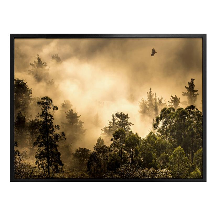 Póster Cuadrado - Nubes de luz