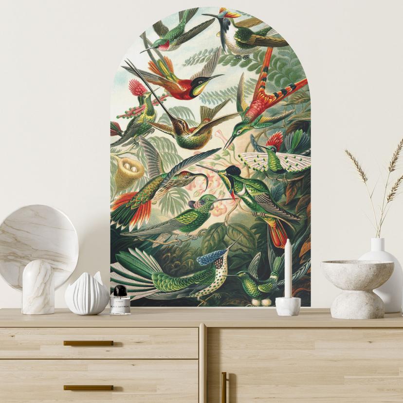 Adesivo murale ad arco tondo pannello da parete colibrì - Häckel - wide