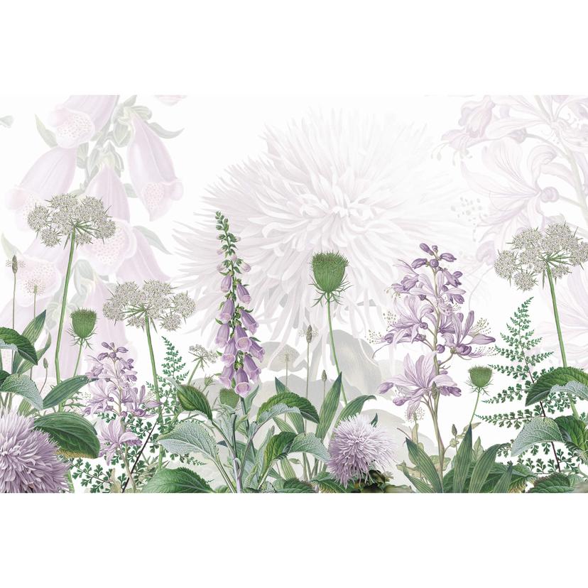 Papier peint photo Sir Edward - Digitales violettes