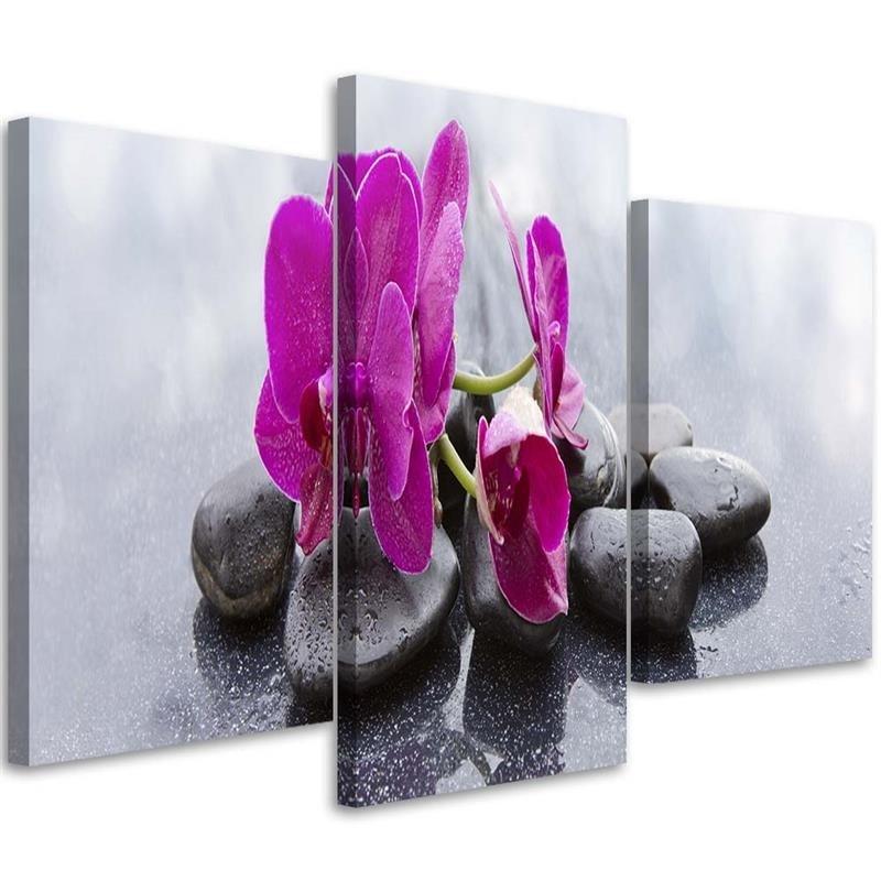 3 stykke lærred print, orkidé blomster sten lilla