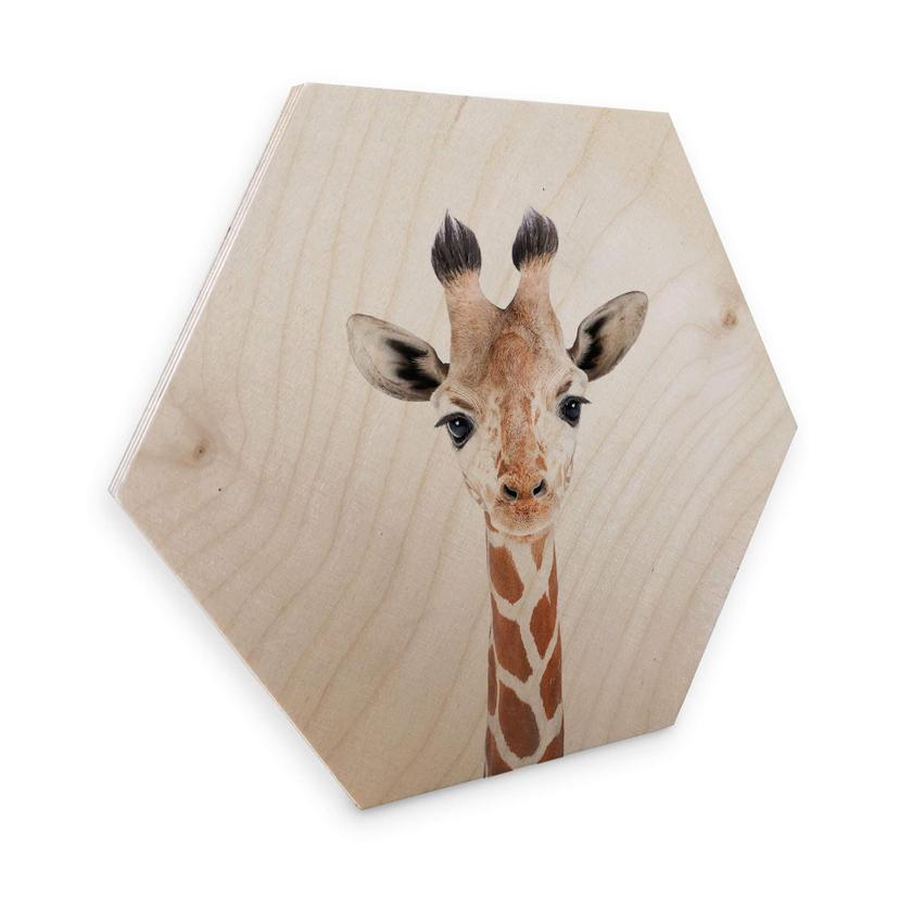 Hexagon Hout Sisi & Seb - Baby Giraffe