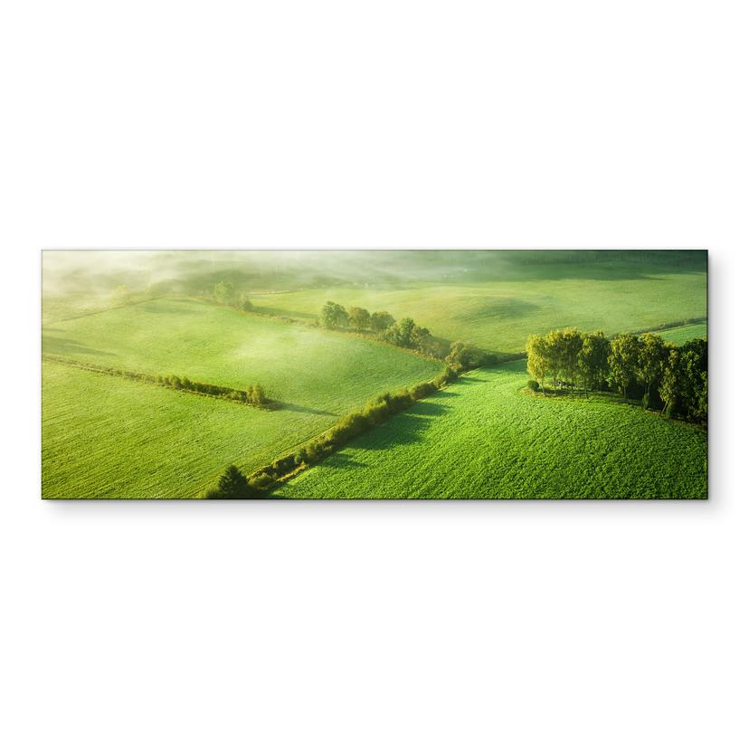 Wandbild Idyllische Felder im Nebel - Keller - Panorama - Alu-Dibond