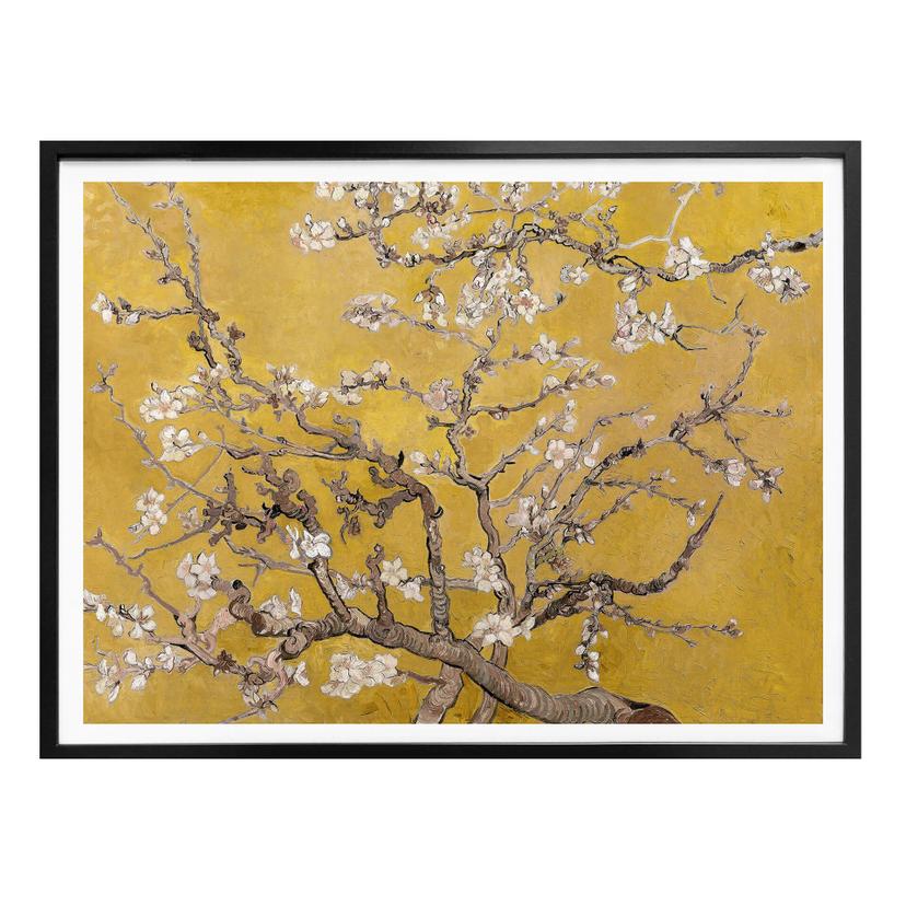 Póster van Gogh - Almendro en Flor Ocre