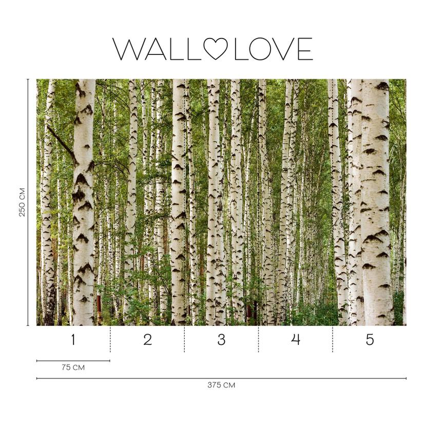 Carta da parati in tessuto non tessuto Fotomurale natura verde bianco - 3,75 m x 2,50 m motivo fores