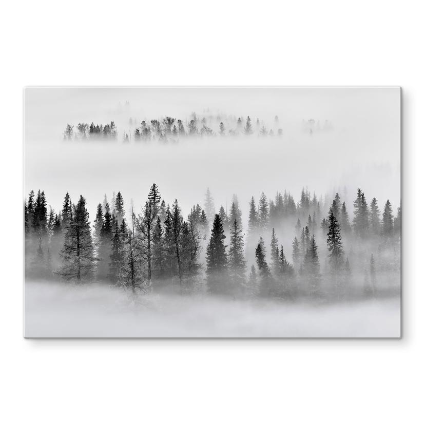 Spatscherm Xu - Foggy Forest
