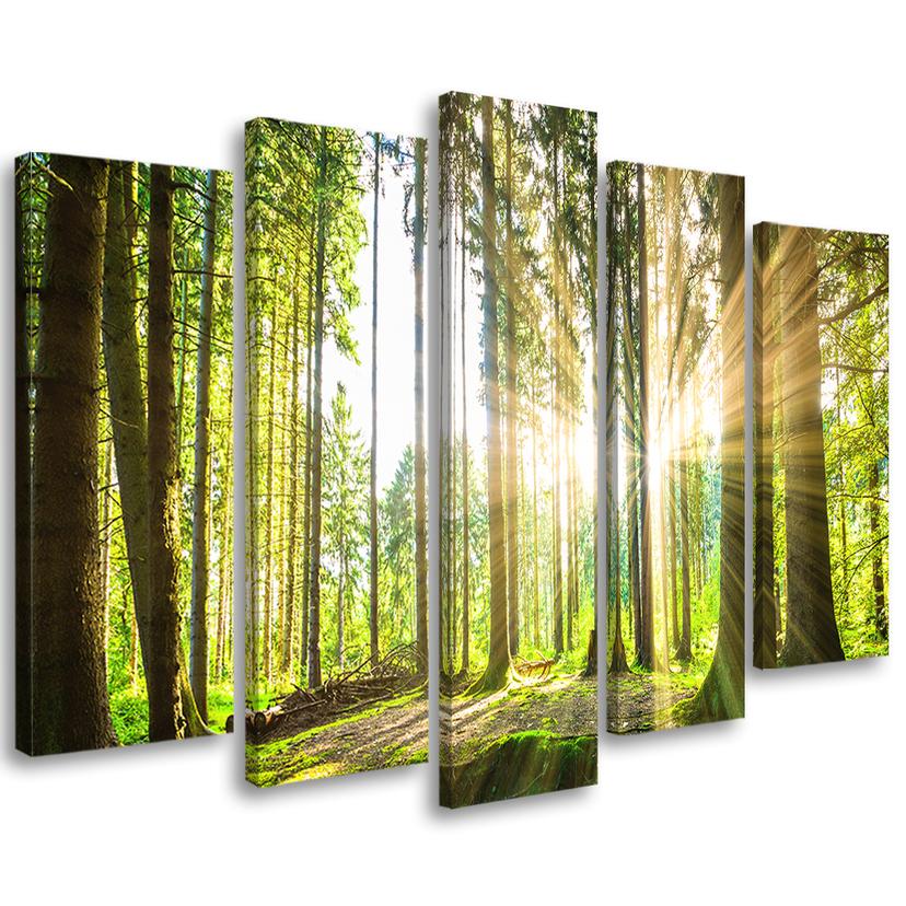 Tableau sur toile 5 pièces, arbres forestiers nature