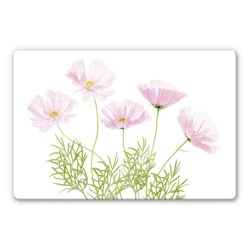 Glasschilderij Disher - Zomerbloemen