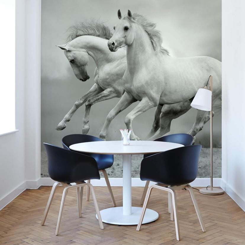 Fototapet Heste i galop - 336x260 cm