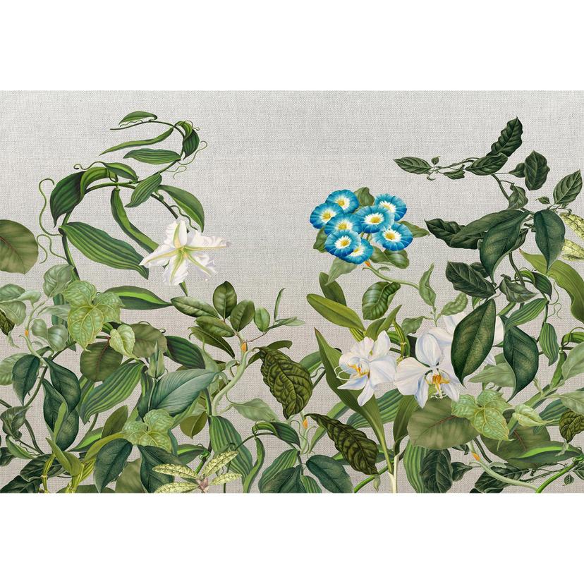 Architects Paper Fotomurale - Atelier 47 Botanica