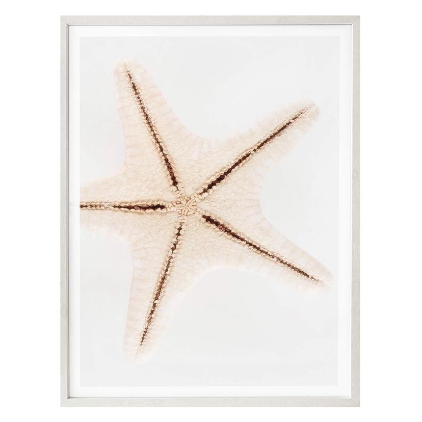Plakat - Hugonnard - White Starfish