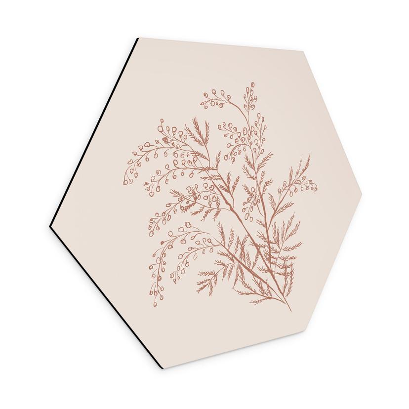 Sekskantet billede Gren af akacie i mokkafarver - Anis-illustration - Aluminium dibond